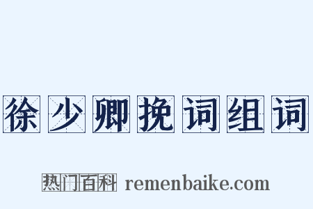 徐少卿挽词组词是什么意思的图片